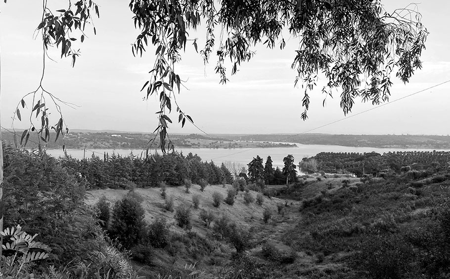 Deixe-nos a sua opinião